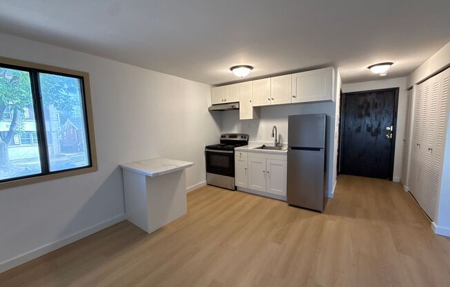 Studio, 1 bath, 300 sqft, $1,300, Unit 102-102