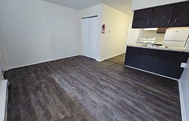 Remodeled One Bedrooms with $99 Deposit!!