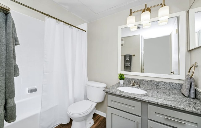 Bathroom with a shower and toilet and sink