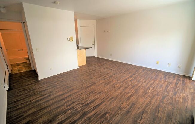 Studio, 1 bath, $910, Unit 7