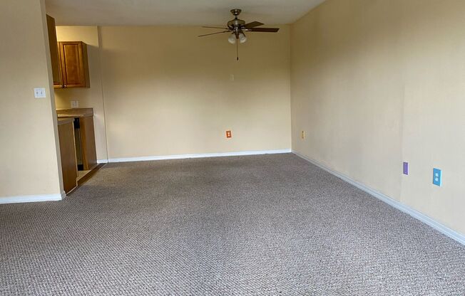 2 Bed 1 Bath Condo | Pet Friendly | Washer Dryer Hook Ups & Central Air | Desirable Area Winter Park | Section 8 Welcome