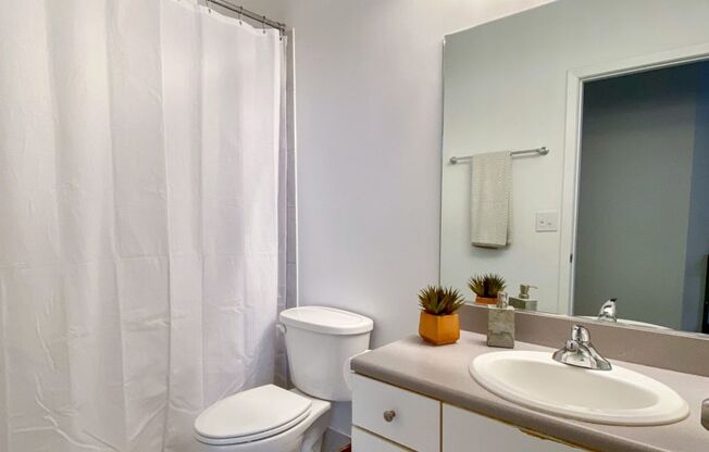 Studio, 1 bath, 695 sqft, $1,535, Unit A-304