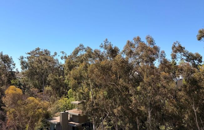 Studio, 1 bath, 362 sqft, $2,095, Unit 703