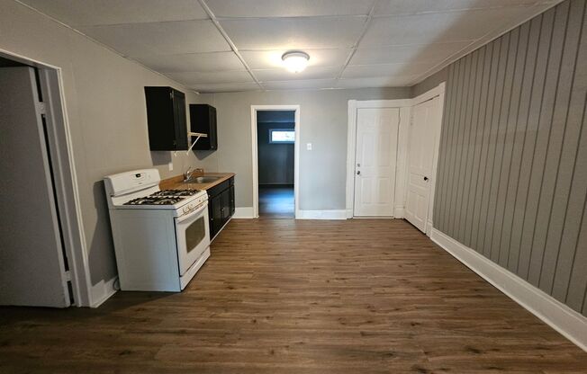 Newly updated 1st floor 1 bedroom apartment for rent!