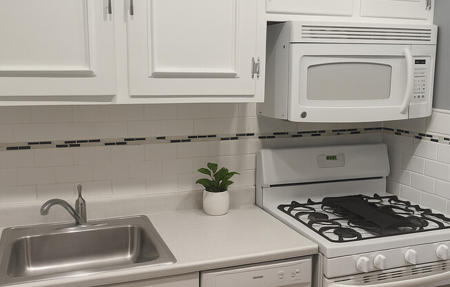 24 Shannon St # 2