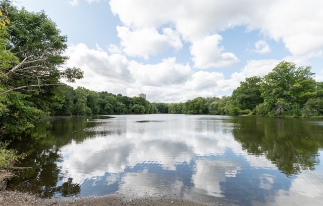 1 bed, 1 bath, 730 sqft, $2,600, Unit 301