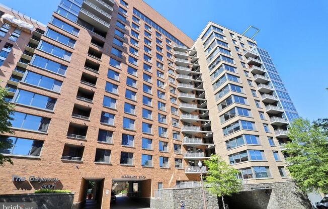 Professionally Managed // 1bedroom 1bathroom// Court House// Parking Included!