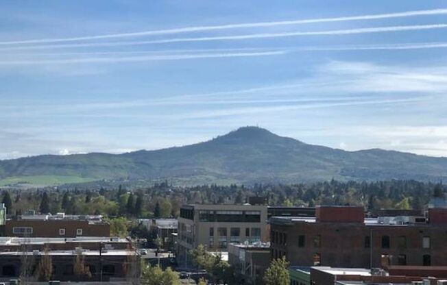 1 bed, 1 bath, 551 sqft, $1,395, Unit 610