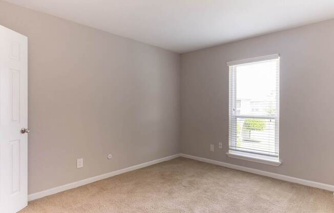 A room with a carpeted floor, a door, and a window with blinds.