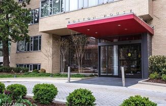 Sun-Filled Large Studio Apartment on Mass Avenue!