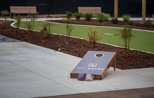 Cornhole game at The Aster Apartments, Cary, 27519