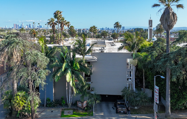 1 bed, 1 bath, 800 sqft, $2,599, Unit 316