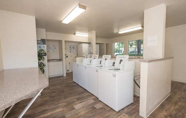 A laundry room with a white counter and a plant in the corner at Autumn Oaks Apartments, Roseville, CA, 95678