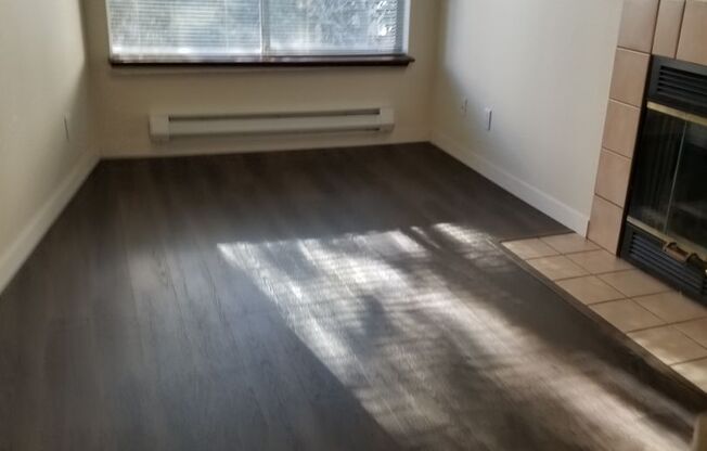 1 bed, 1 bath, 480 sqft, $1,350, Unit 308