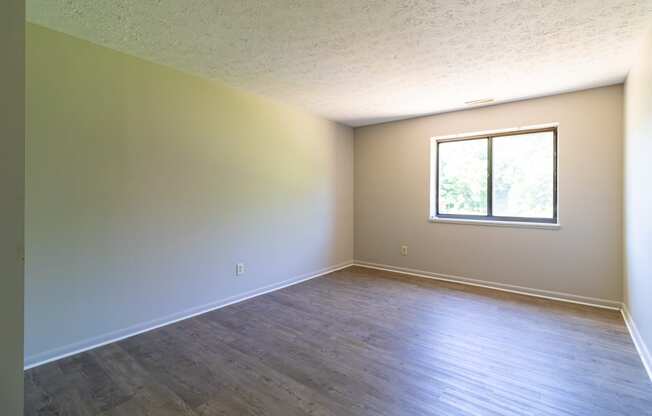 Living room with vinyl plank flooring