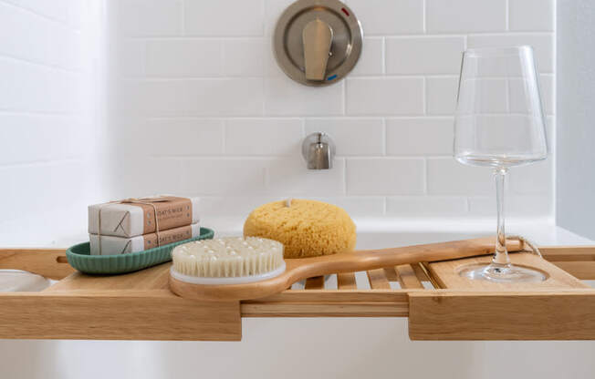 Bathtub was body brush