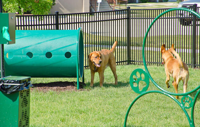 Tapestry Naperville Fenced In Dog Park