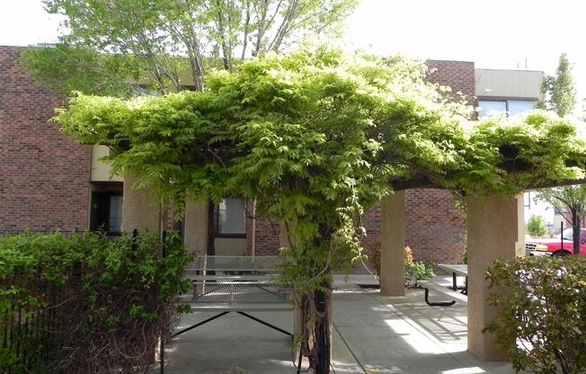 Lomas Townhouse Apartments