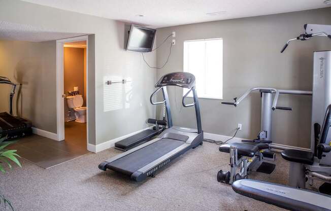 A home gym with a treadmill, weights, and exercise equipment.