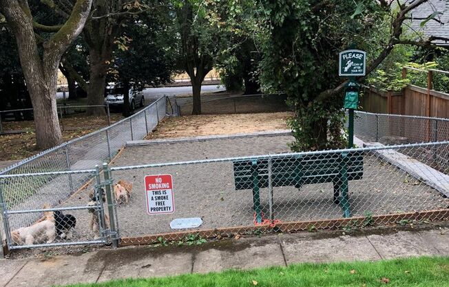 1 bed, 1 bath, $1,599, Unit 5565-1