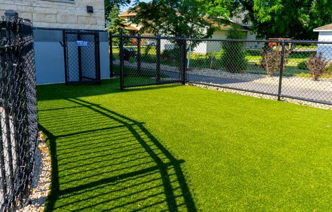 a yard with green grass and a black chain link fence