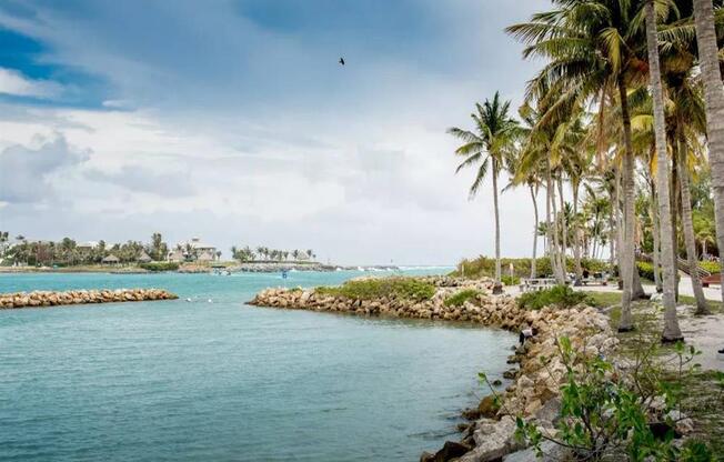 Jupiter Beach and Palms at The Sophia at Abacoa, Jupiter