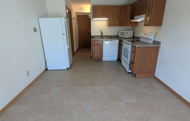 Studio, 1 bath, 310 sqft, $1,150, Unit 207