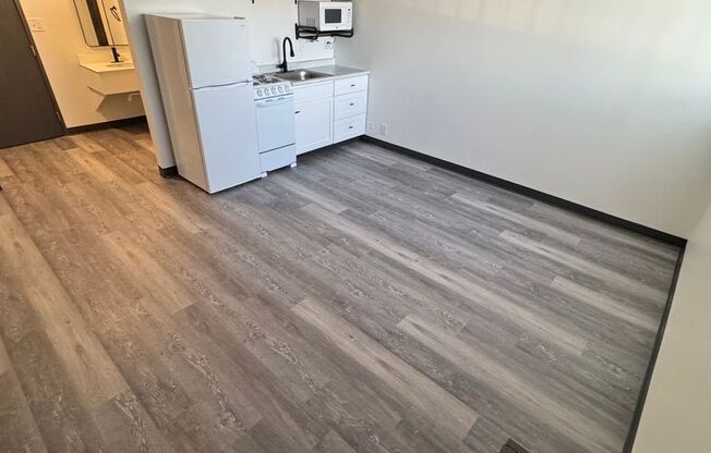 Studio, 1 bath, 265 sqft, $705, Unit 316