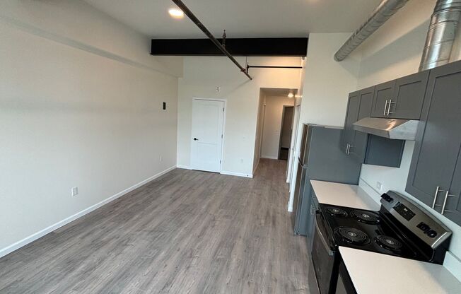 Studio, 1 bath, 398 sqft, $1,250, Unit 217