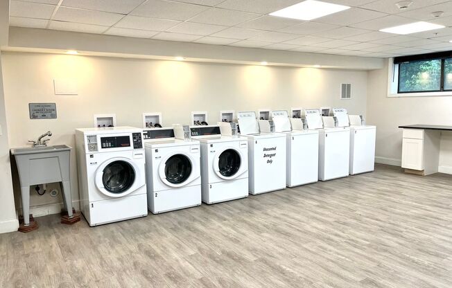 1 bed, 1 bath, 545 sqft, $1,900, Unit 111