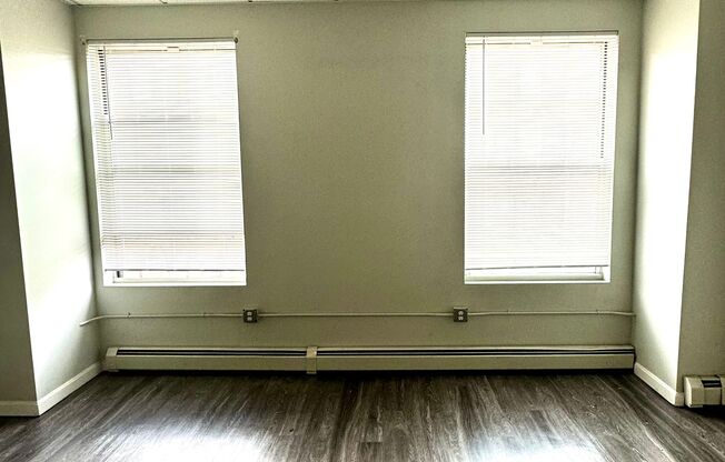 Studio, 1 bath, 255 sqft, $1,450, Unit 319