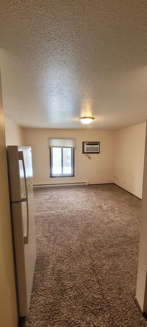 Studio, 1 bath, 350 sqft, $490, Unit 35-B