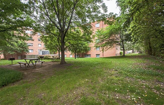 Barbecue at Shawnee Apartments, Virginia, 22204