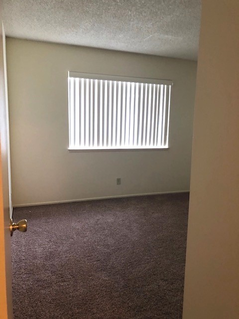 2 beds, 1 bath, $2,595