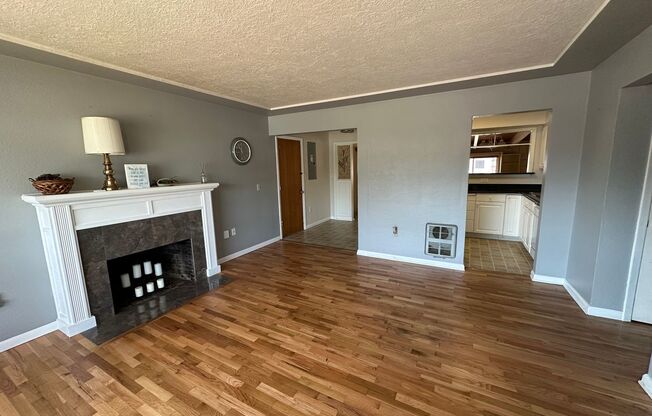 Very Clean 3 Bedroom 1 Bath Home With Central  AC And A Fenced Backyard In Albany