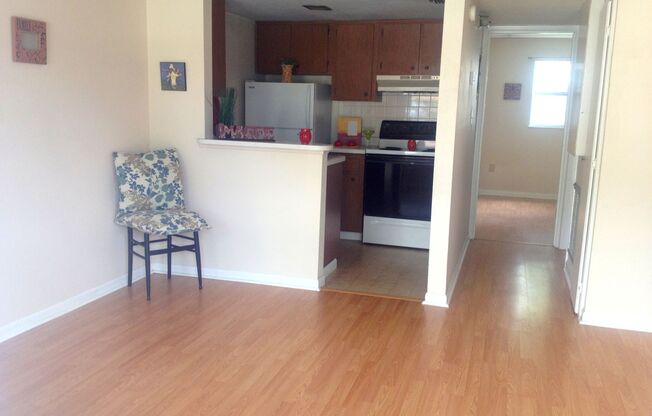 Spacious Remodeled 1BR/1BA  Apartment with Beautiful New LVT Flooring