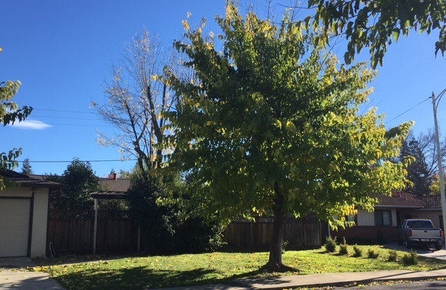 Hartz Property Management Presents: 1562 Oakroyal Drive in Concord