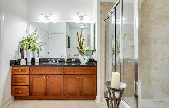 a bathroom with a sink and a mirror and a shower