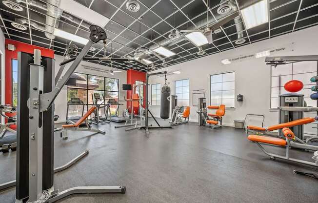 A gym with a variety of equipment including a squat rack, bench press, and a rowing machine.