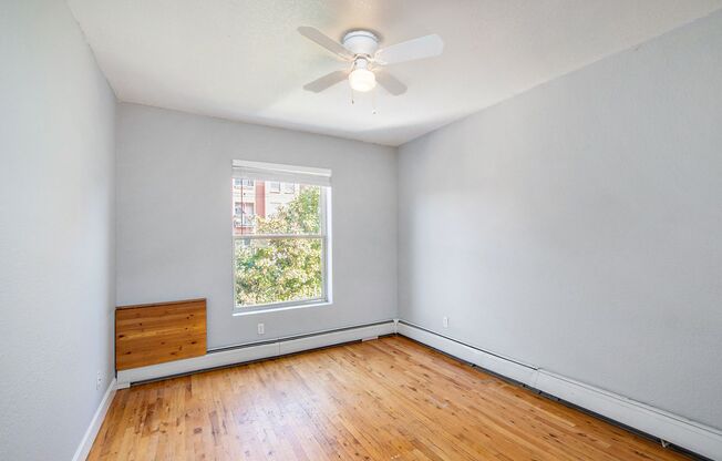 1 bed, 1 bath, $1,150