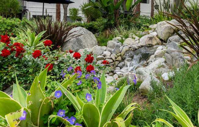 a garden with flowers and a stream at 55+ FountainGlen Goldenwest, Westminster, CA