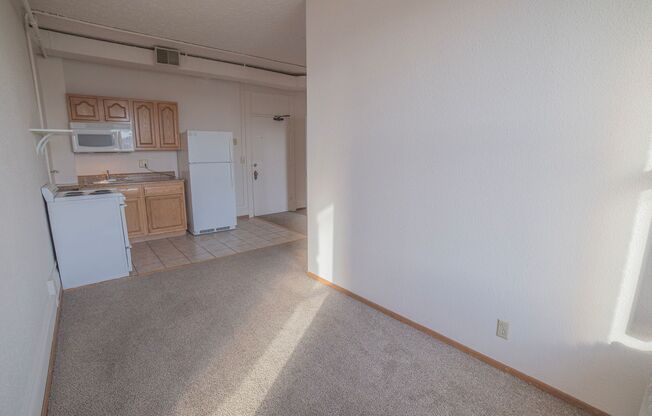 1 bed, 1 bath, 435 sqft, $590, Unit 506