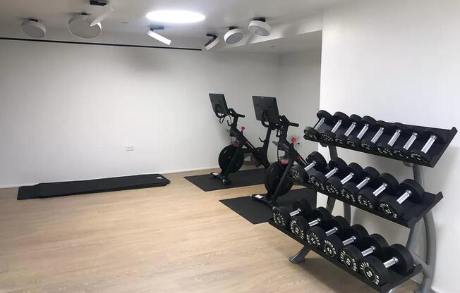 Studio, 1 bath, $3,450, Unit 1006