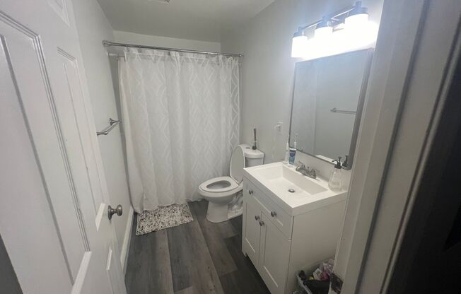 1 bed, 1 bath, $1,350, Unit 114 Apt. B