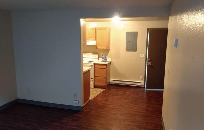 1 bedroom 1 bathroom apartment - bottom floor, downstairs - Granvue Apartments