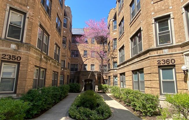 1 bed, 1 bath, 425 sqft, $1,765, Unit 233-314