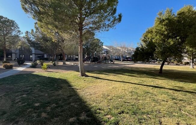 1 bed, 1 bath, $1,600