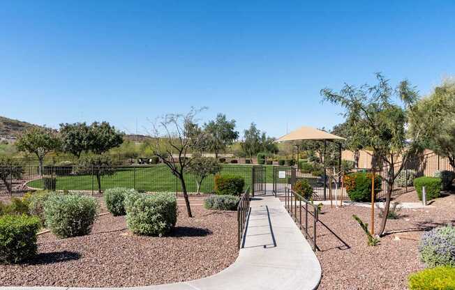 On-Site Dog Park at Avilla Deer Valley, Arizona, 85085