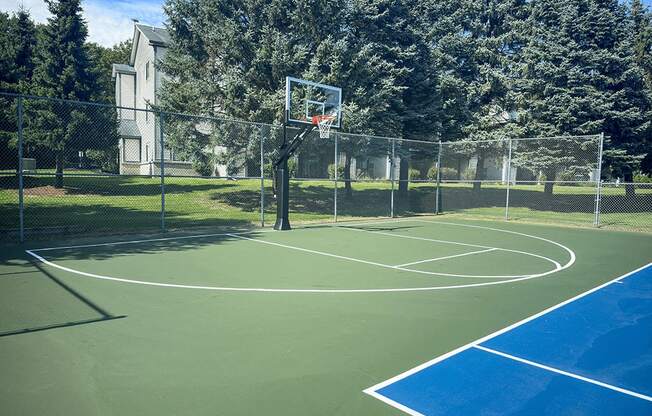 a basketball hoop on a green and blue court with a white