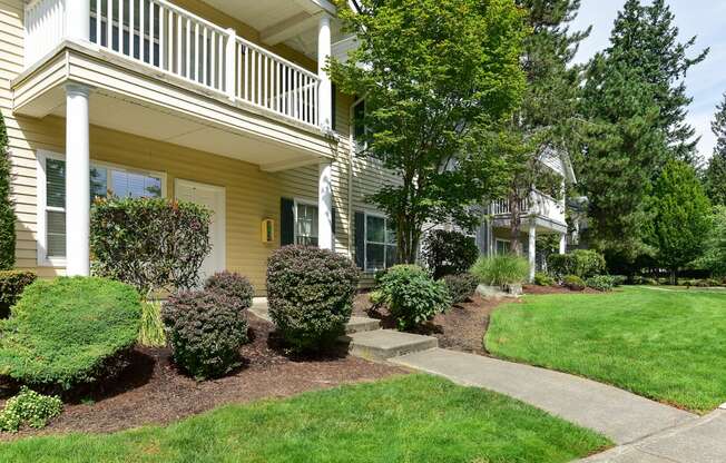 a front yard with shrubs in front of a house
